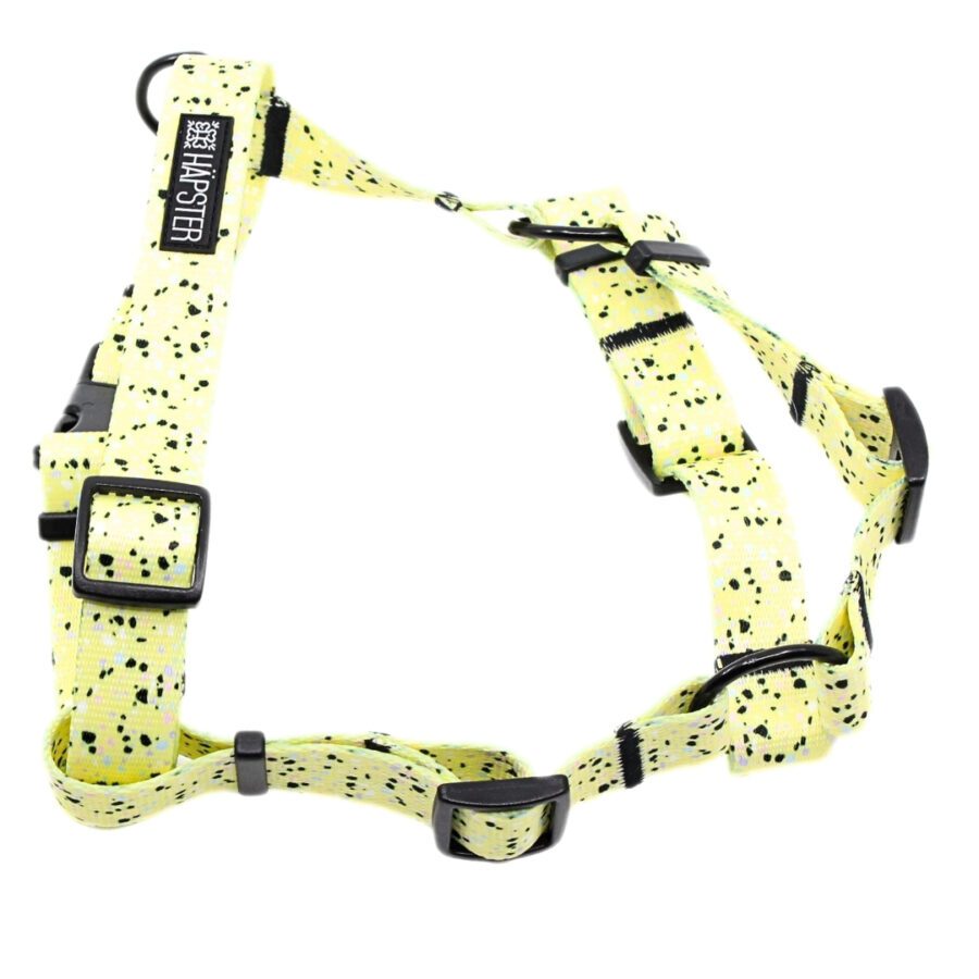 Traksid "Sunny Sprinkles"