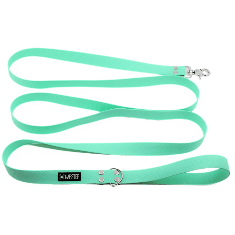 Kariibiroheline veekindel jalutusrihm