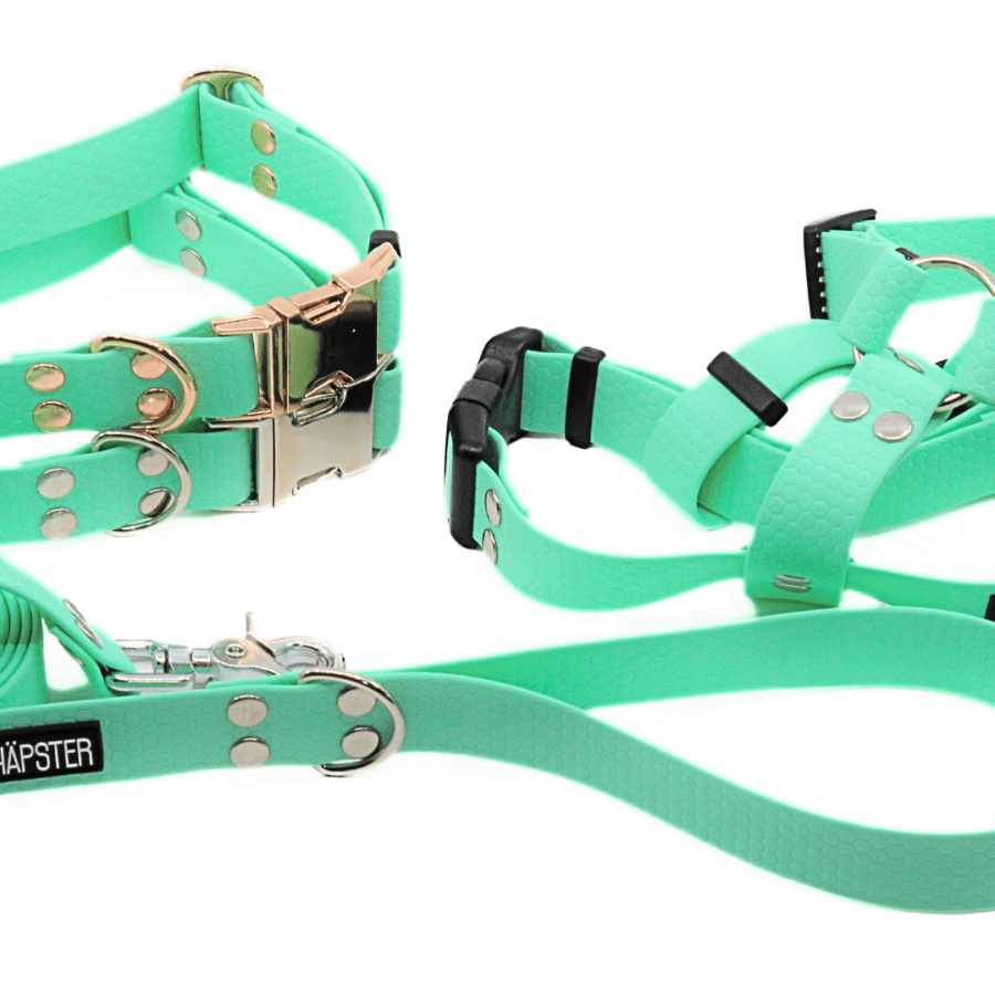 Veekindel kariibiroheline