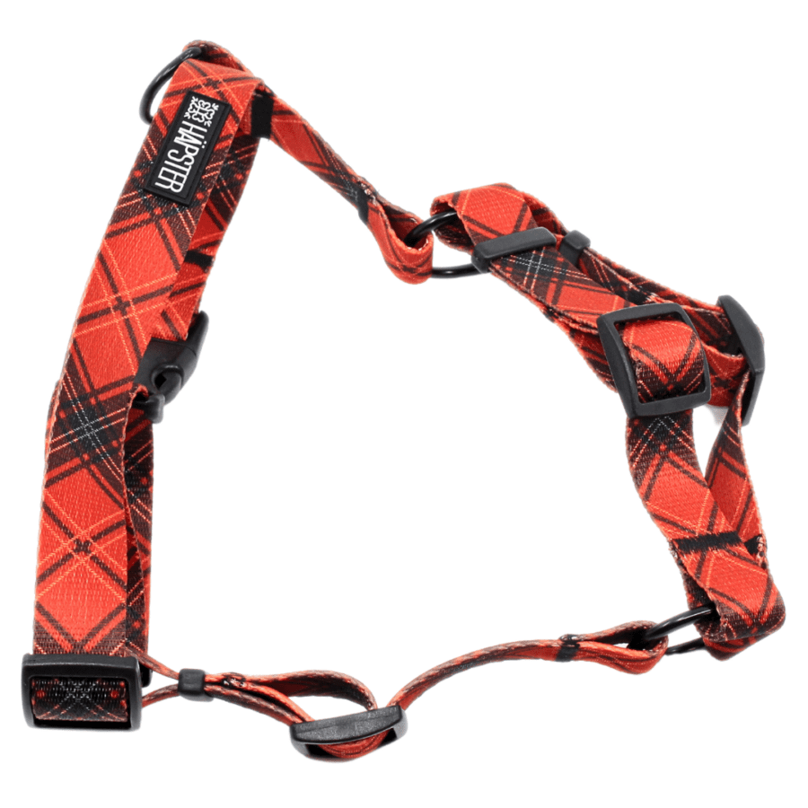 Traksid "Tartan Treasures"