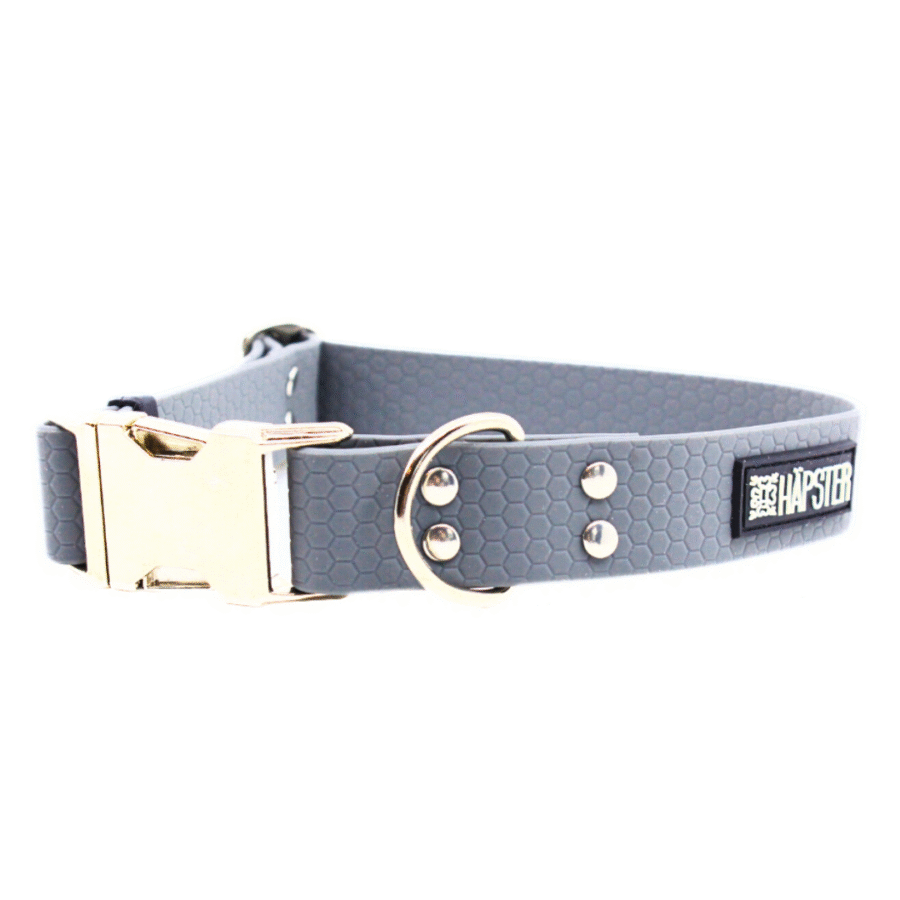 koera kaelarihm hall veekindel