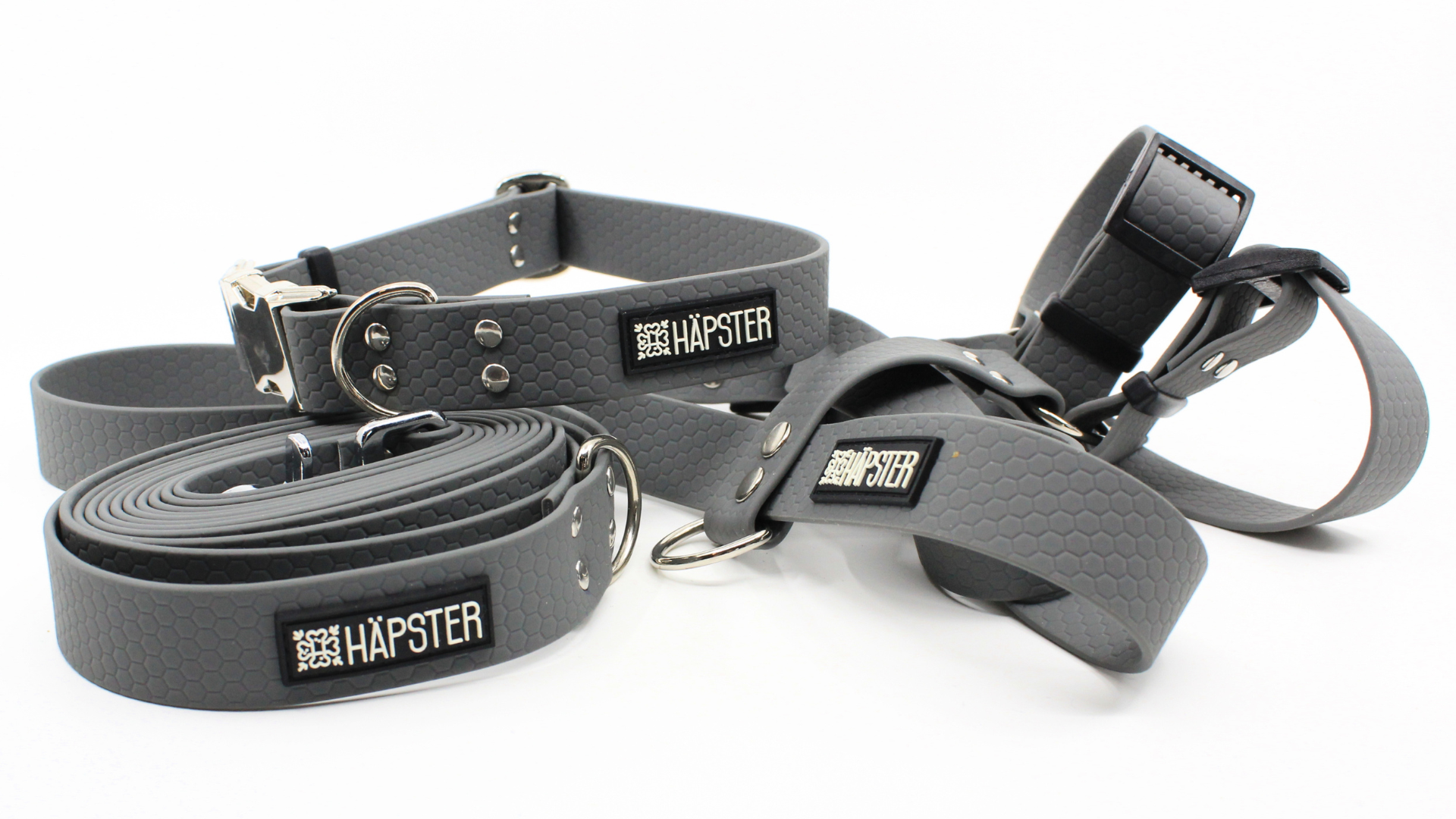 koera hall rihmakomplekt traksid, kaelarihm, jalutusrihm