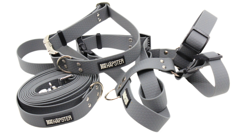 koera hallid traksid, kaelarihm, jalutusrihm komplekt