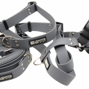 koera hallid traksid, kaelarihm, jalutusrihm komplekt