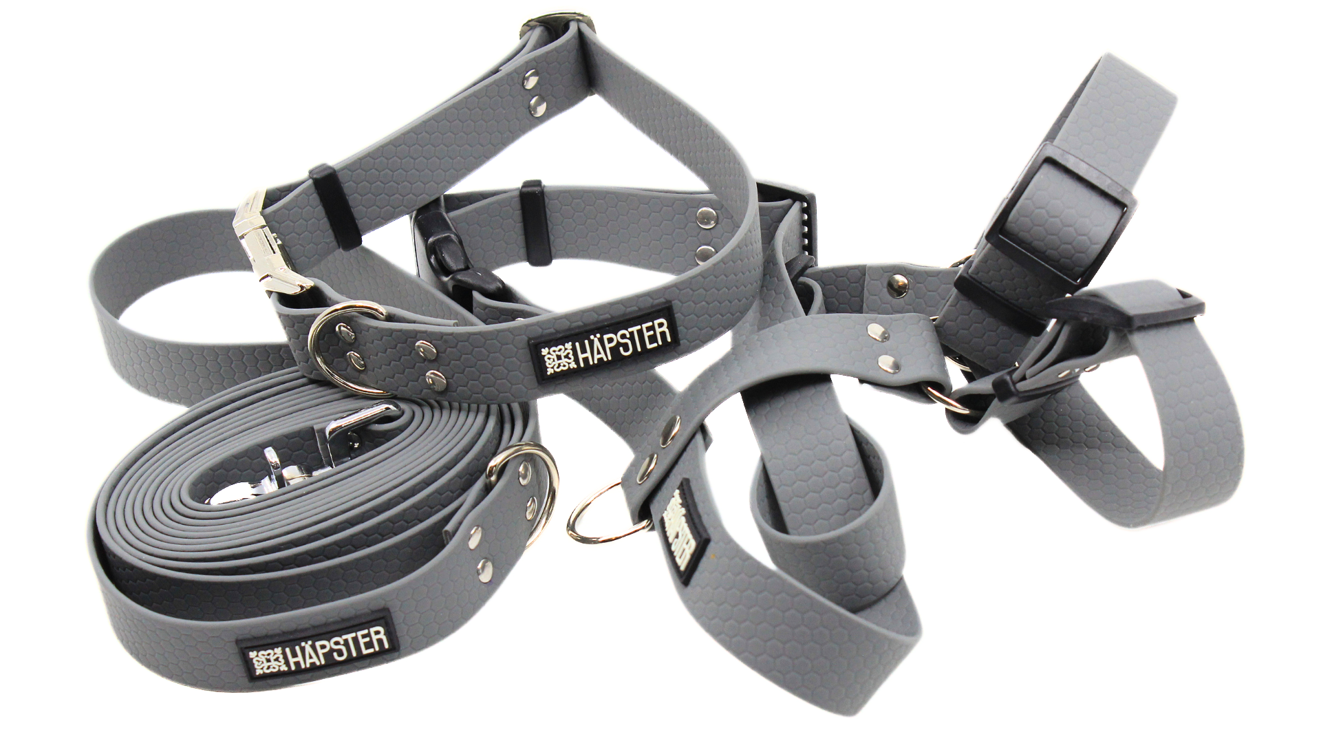 koera hallid traksid, kaelarihm, jalutusrihm komplekt