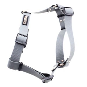 koera traksid hallid reguleeritavad