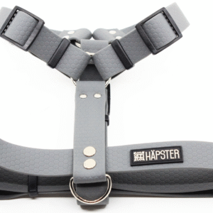 Koera traksid hallid pealtvaates