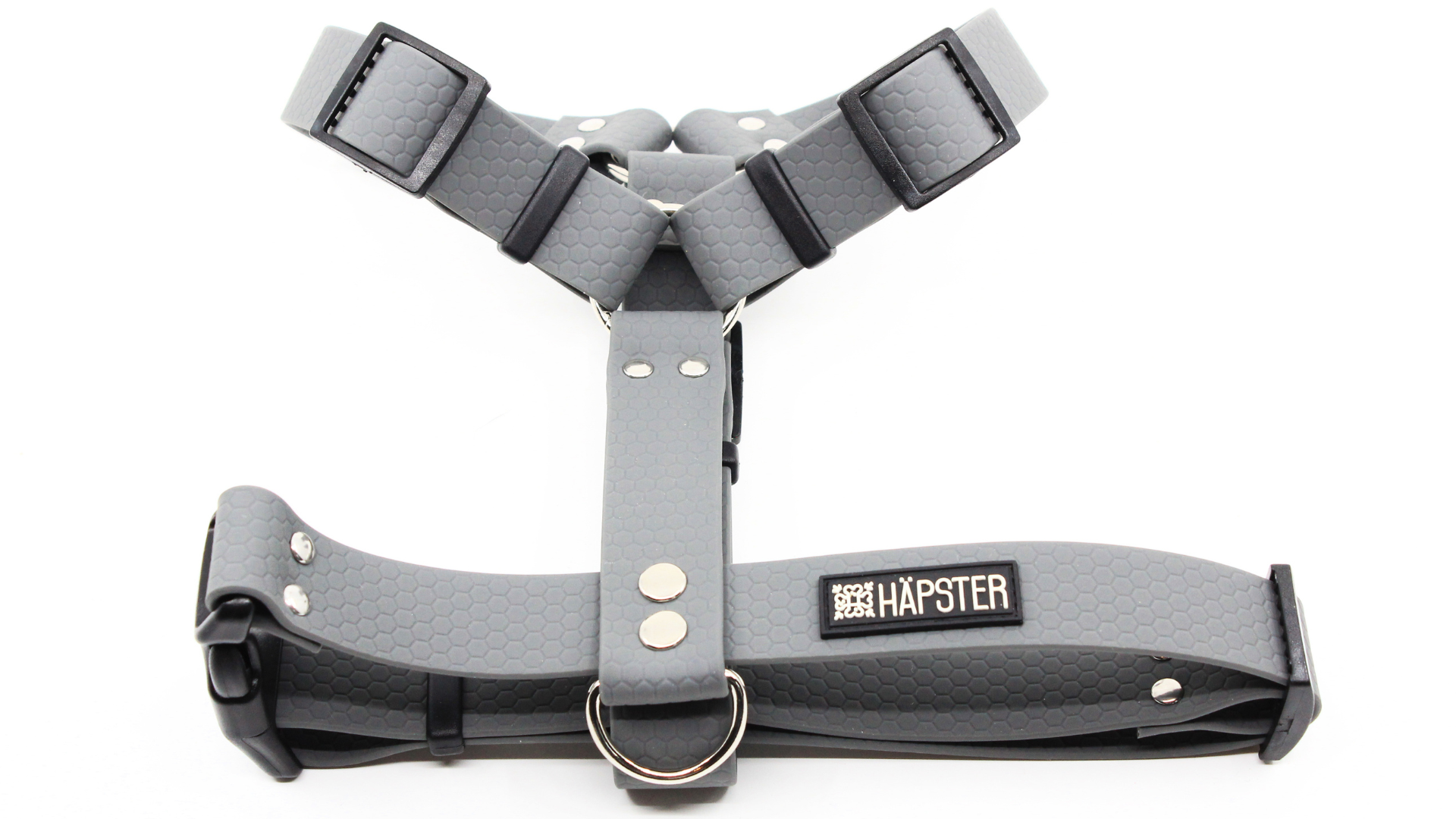 Koera traksid hallid pealtvaates