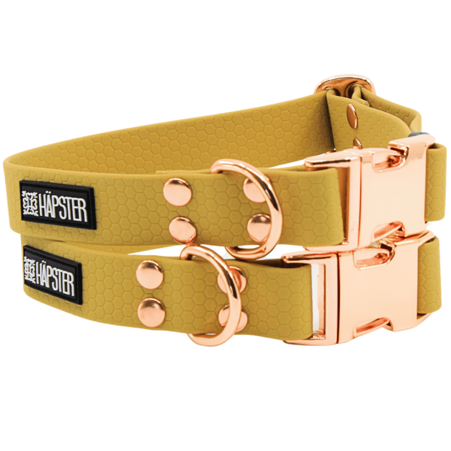 Kuldne veekindel kaelarihm