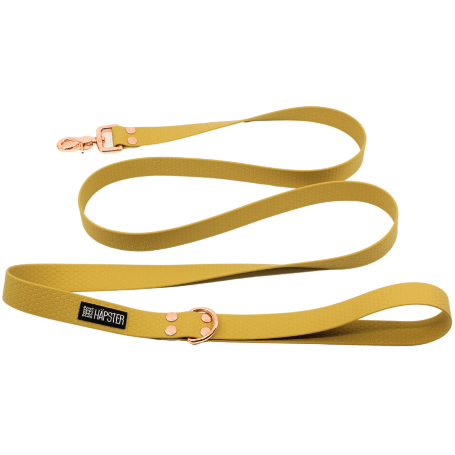 Kuldne veekindel jalutusrihm