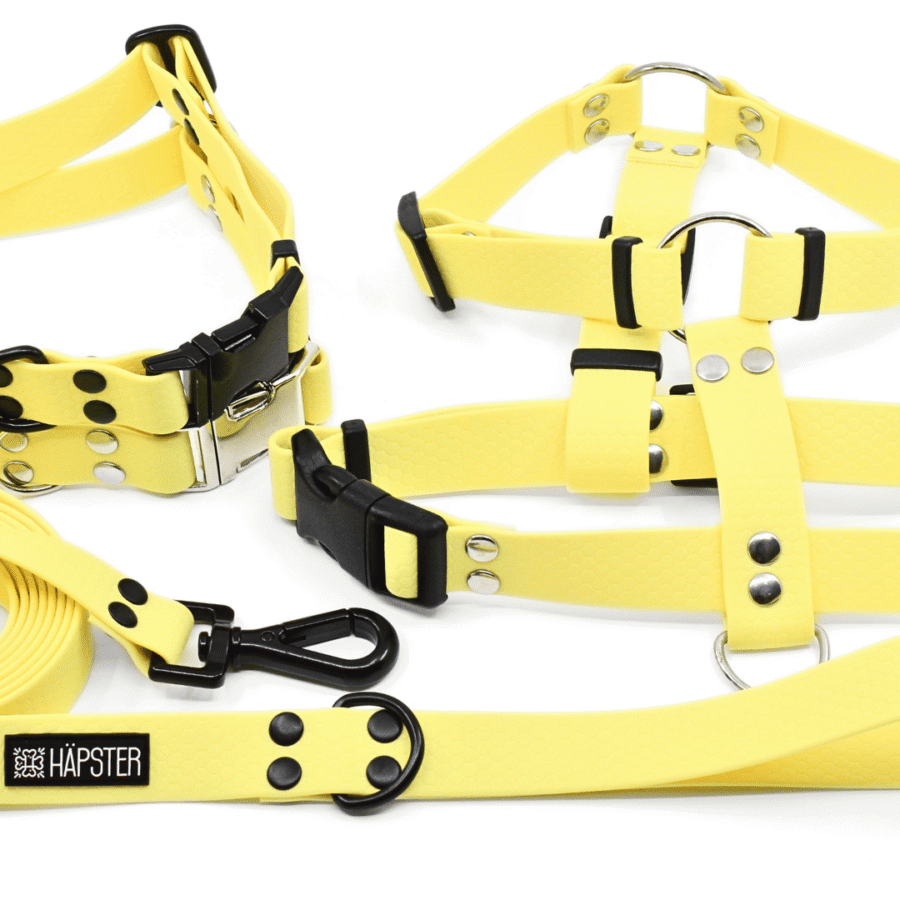 Veekindel võikollane