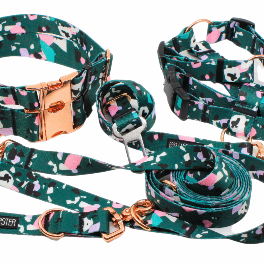 Forest terrazzo bloom