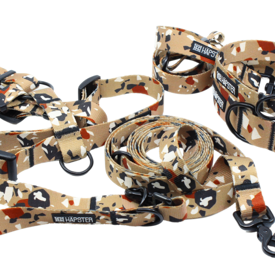 Desert terrazzo bloom