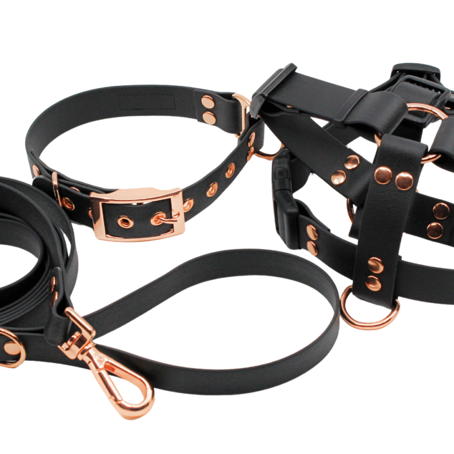 Veekindel must (sile)