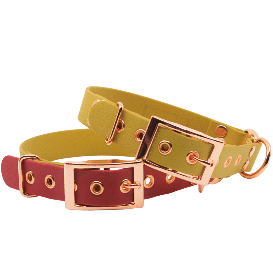 Kuldne veekindel kaelarihm (sile)