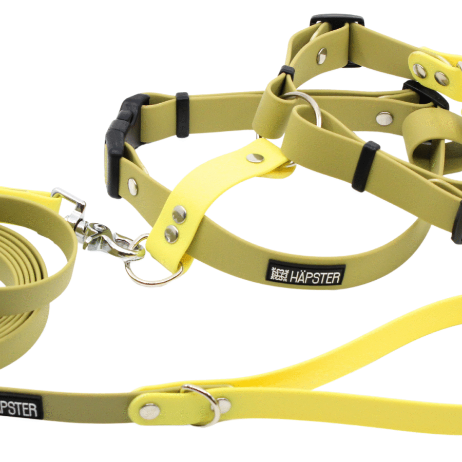 Veekindel heleroheline (sile)