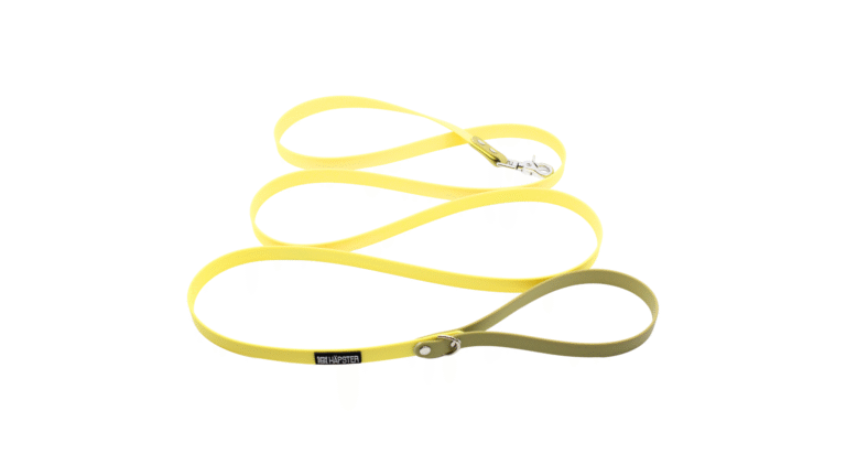 koera võikollane jalutusrihm