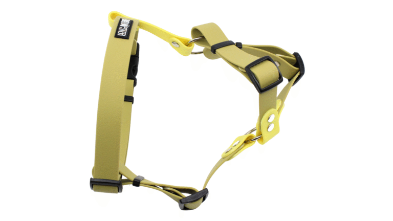 koerte khaki värvi traksid