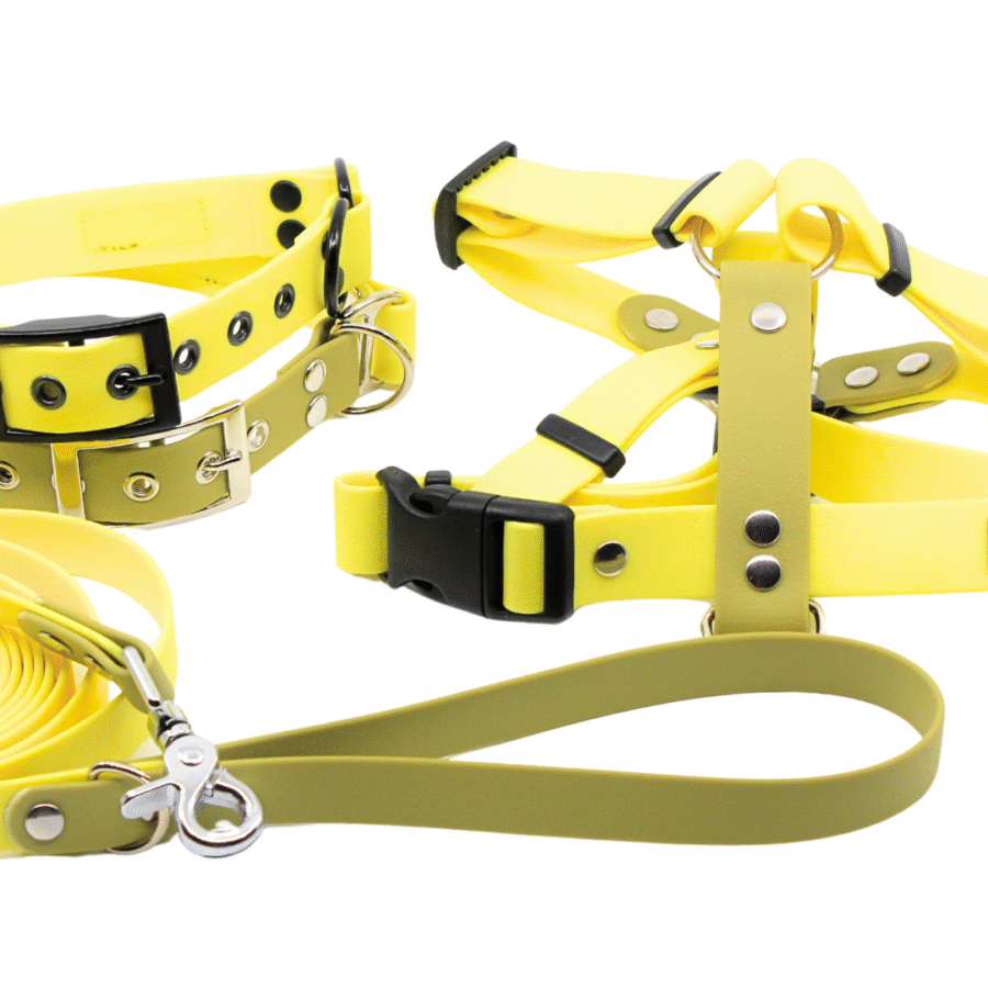 Veekindel võikollane (sile)