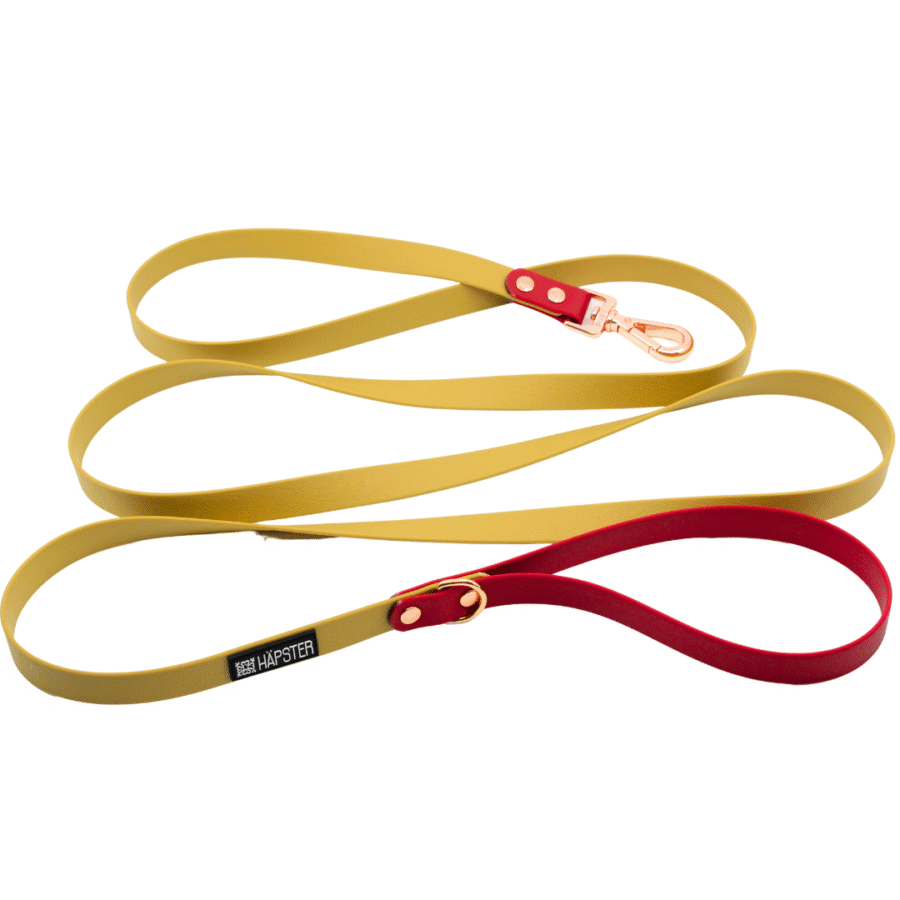 Kuldne veekindel jalutusrihm (sile)