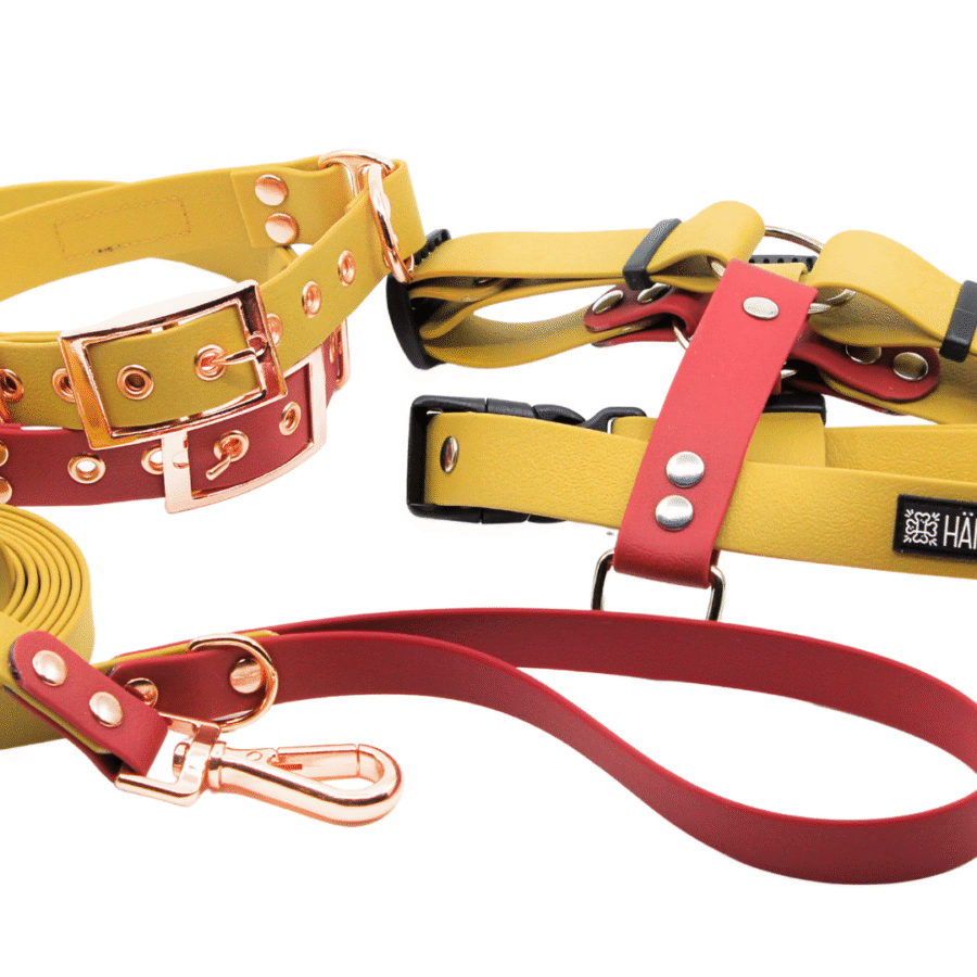 Veekindel kuldne (sile)