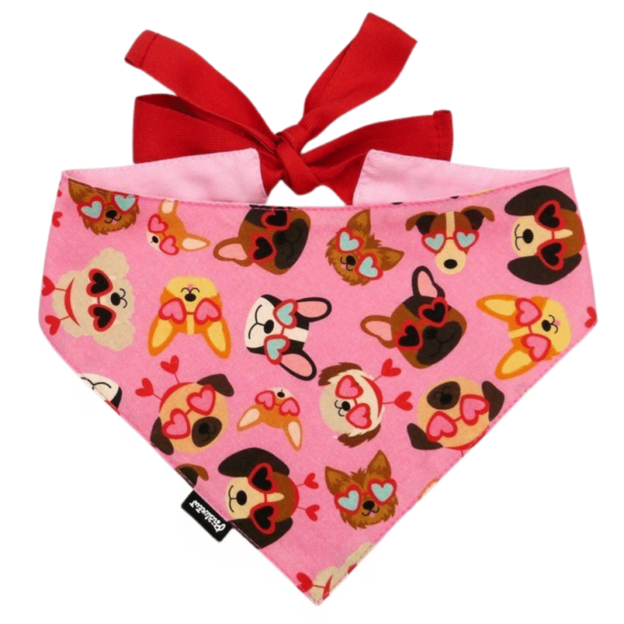 Kaelarätik "Cool dogs"