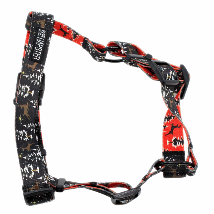 Traksid "Winter wonderland (must)"