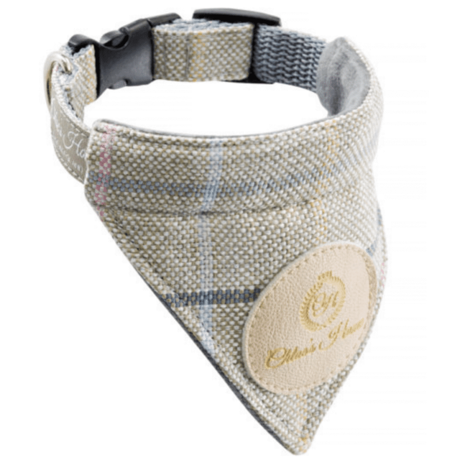 Kaelarätikuga hall kaelarihm koerale