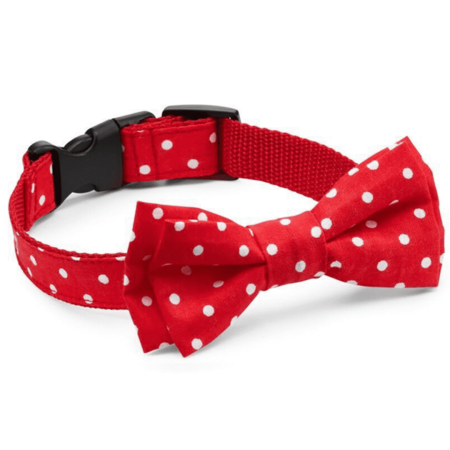 Punane täpiline lips