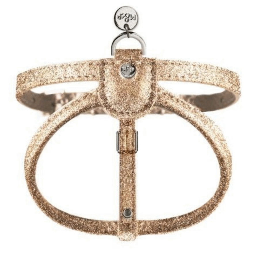 Sädelevad kuldsed traksid koertele "Stardust"