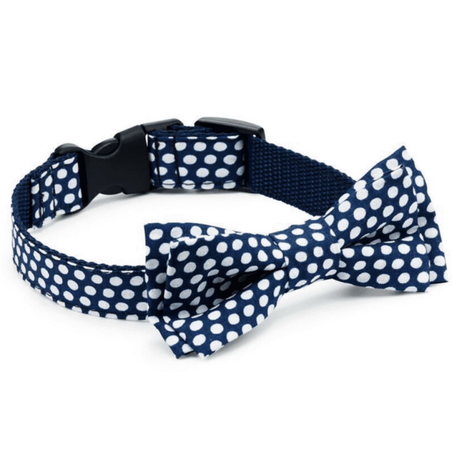 Sinine täpiline lips