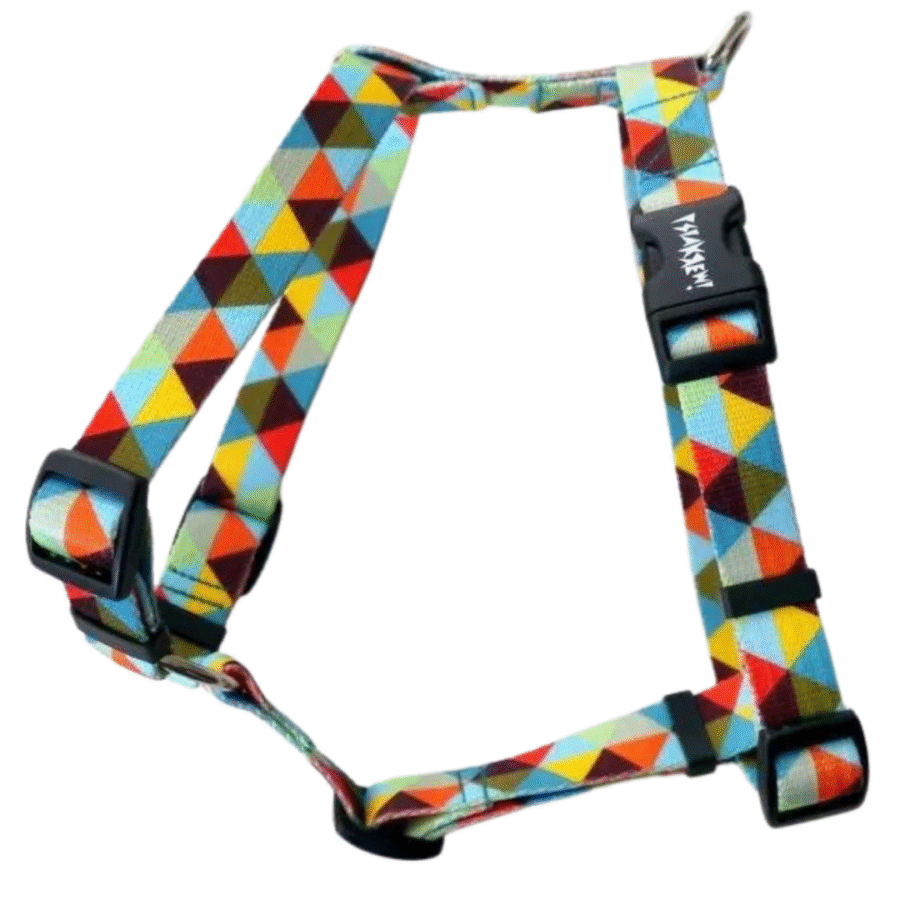 Ruudulised koerte traksid "Bermuda!"