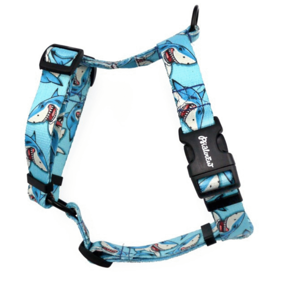 Haimustrilised koerte traksid "Shark!"