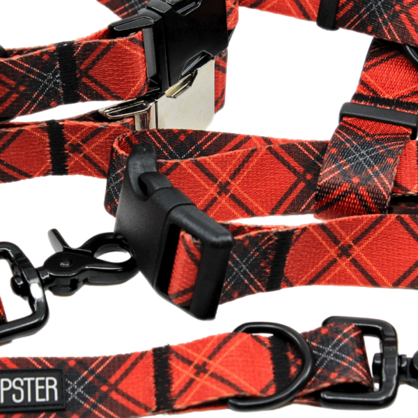 Tartan Treasures